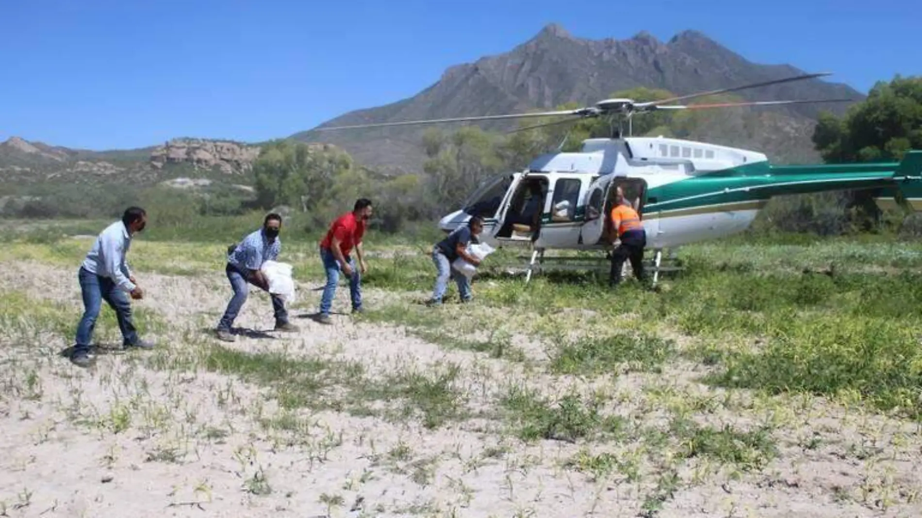 apoyos via aerea gobierno del estado